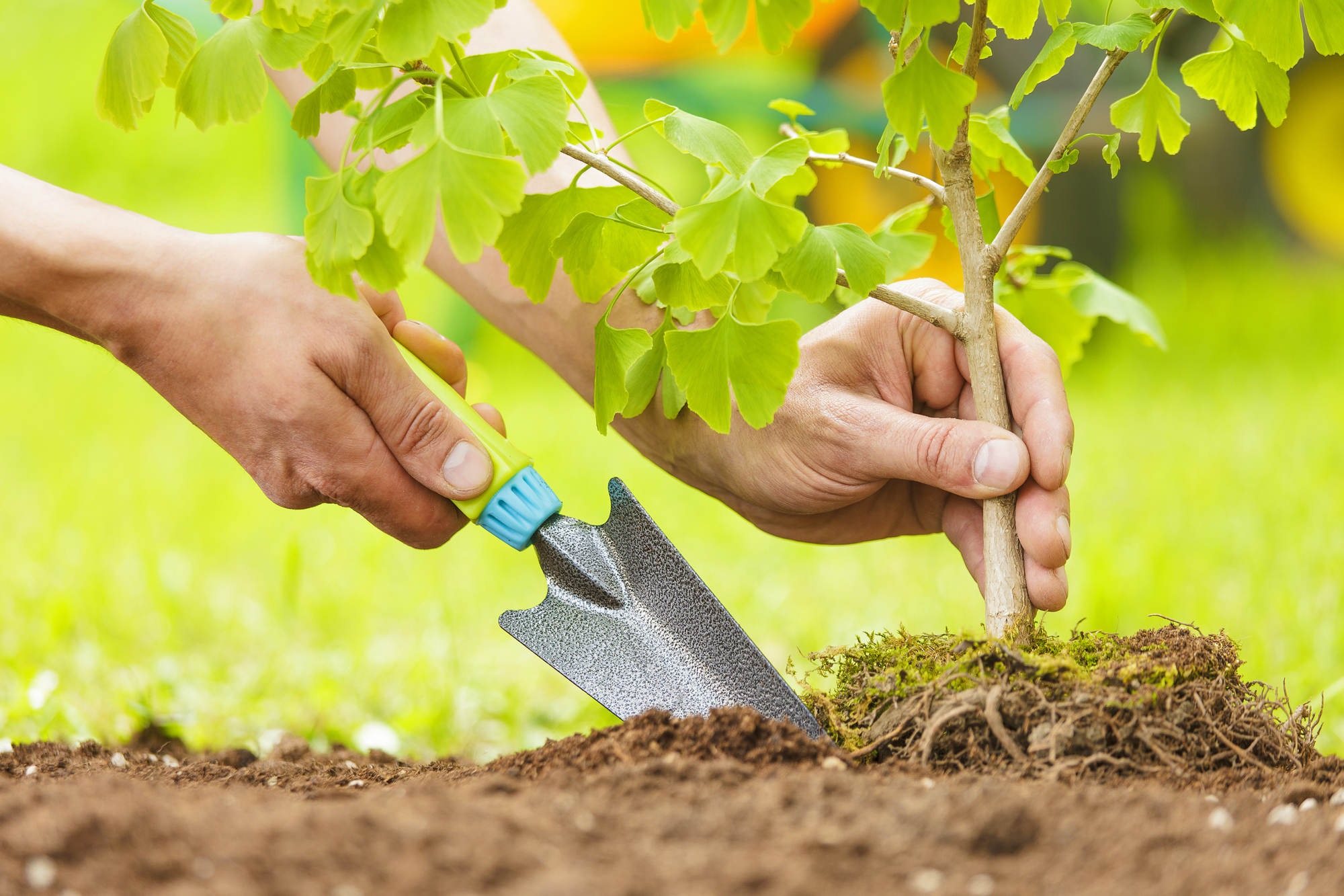mulching services birmingham al mulching services birmingham al