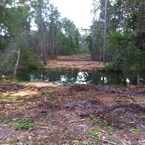 Land Clearing Near Me